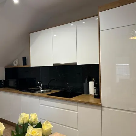 Apartament Lux - Z Jacuzzi I Sauna Nad Wisla Ustroń